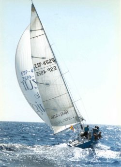 D. 363 AZUR DE PUIG