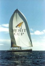 D. 390 MERIT CUP