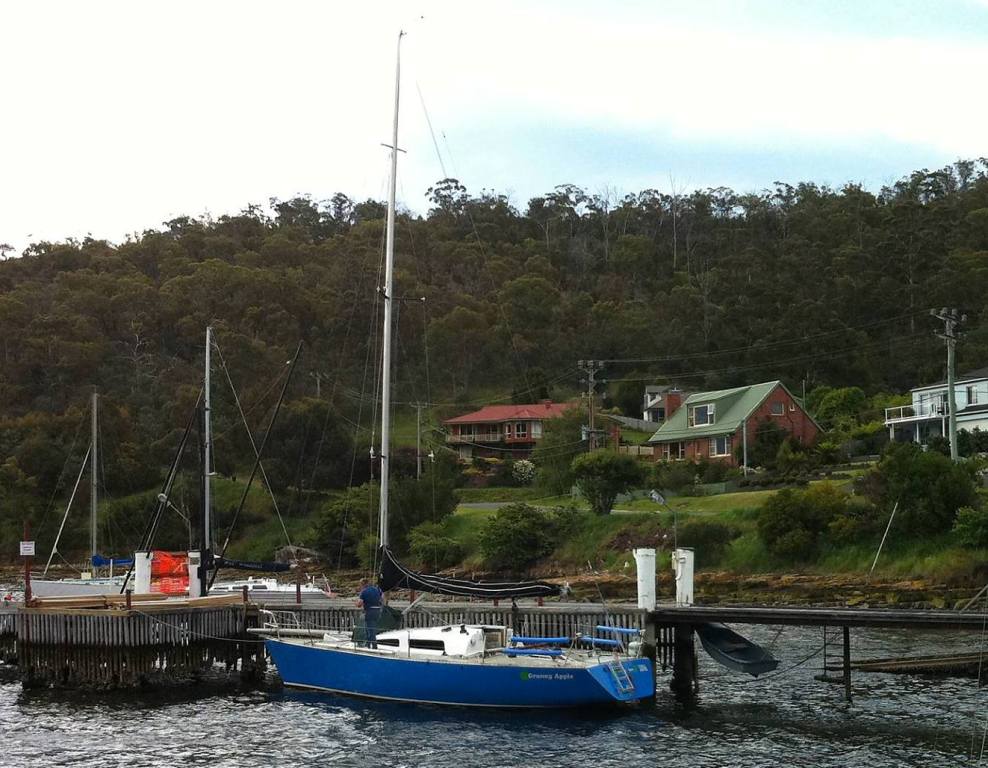 GRANNY APPLE racing yacht