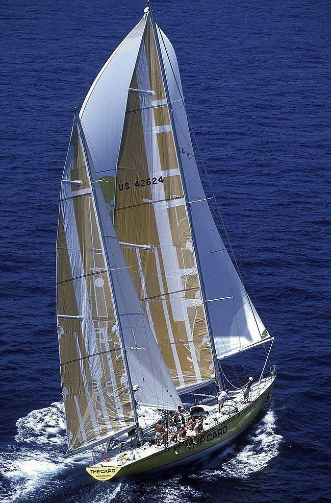 THE CARD racing yacht