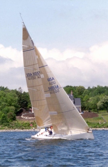 339 racing yacht