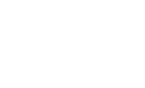 The Whiskey Project Group logo